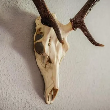 Harz Vital Sehr Komfortable * Braunlage