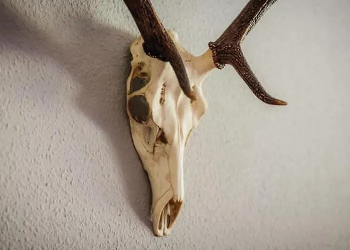 Sehr Komfortable Ferienwohnung Wlan Und Parkplaetze Kostenlos * 布劳恩拉格